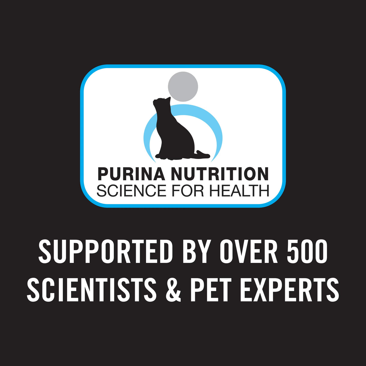 Purina Pro Plan Adult Cat Dry Food – Salmon