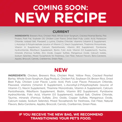 Hill's Science Diet Adult Sensitive Stomach & Skin Small & Mini Chicken Recipe dog food 4 lbs