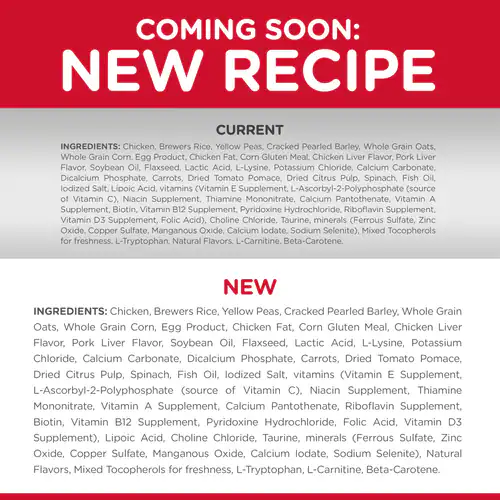 Hill's Science Diet Adult 7+ Senior Vitality Chicken & Rice Recipe dog food 3.5 lbs