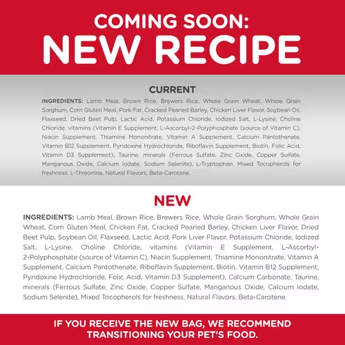 Hill's Science Diet Adult Small Bites Lamb Meal & Brown Rice Recipe dog food 15.5 lbs