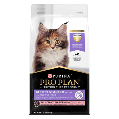 Purina Pro Plan Cat Kitten Starter - Salmon & Tuna