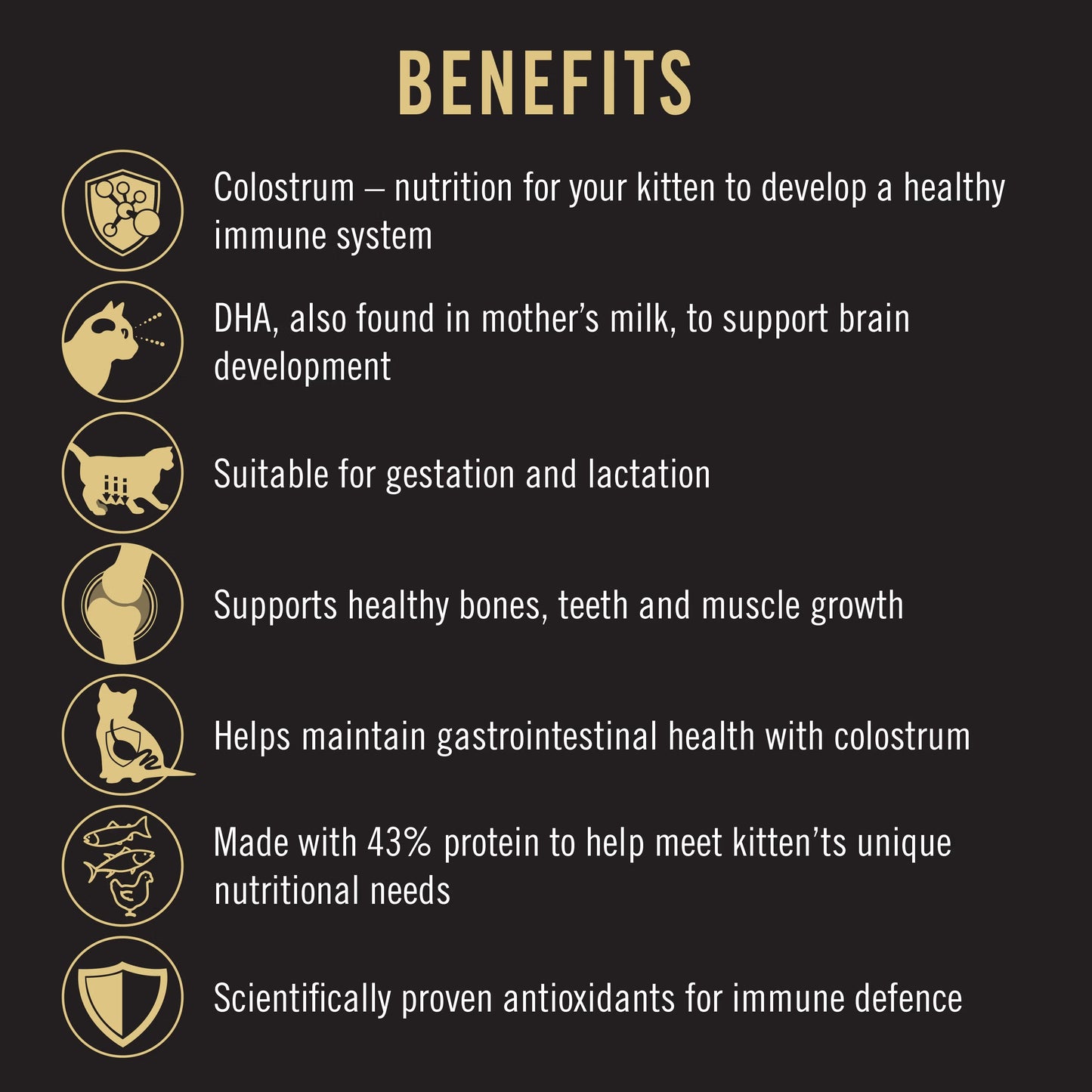 Purina Pro Plan Cat Kitten Starter - Salmon & Tuna