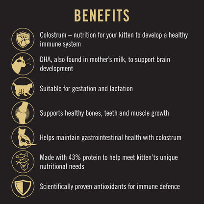 Purina Pro Plan Cat Kitten Starter - Salmon & Tuna