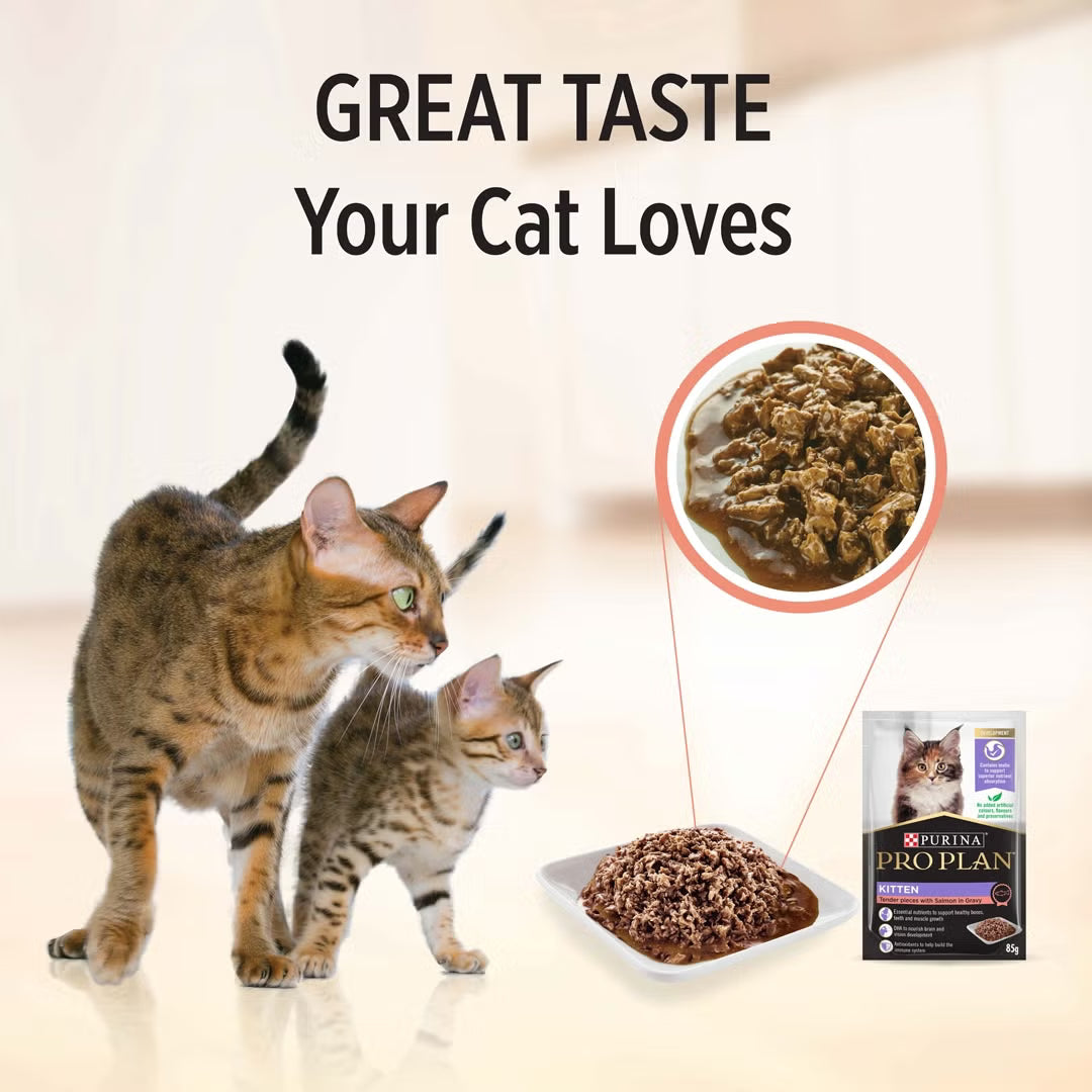 Purina Pro Plan Cat Wet Kitten (85g x 12) - Chicken / Salmon