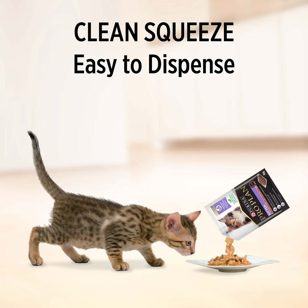 Purina Pro Plan Cat Wet Kitten (85g x 12) - Chicken / Salmon