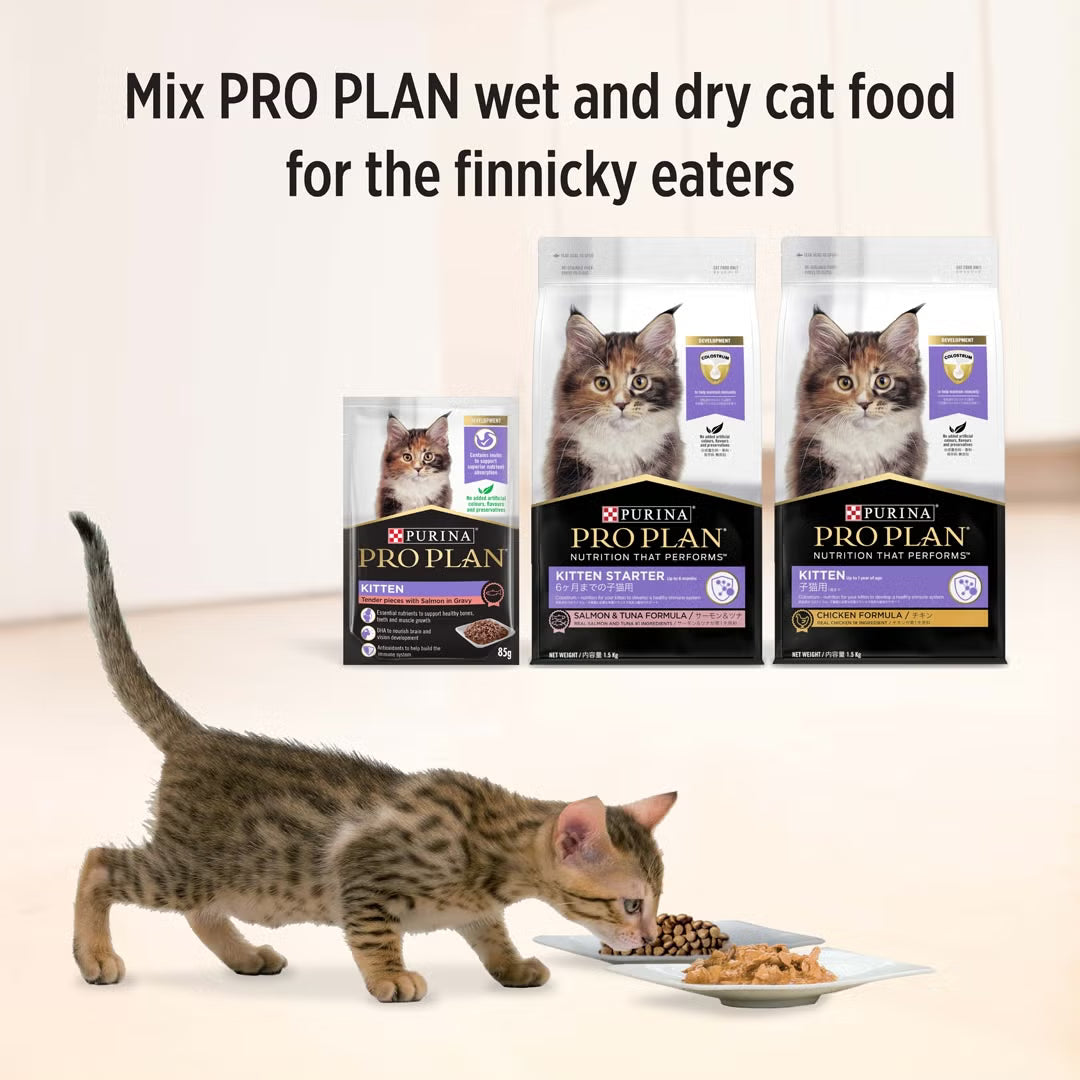 Purina Pro Plan Cat Wet Kitten (85g x 12) - Chicken / Salmon