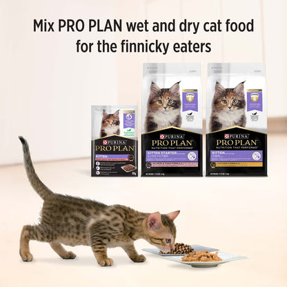 Purina Pro Plan Cat Wet Kitten (85g x 12) - Chicken / Salmon
