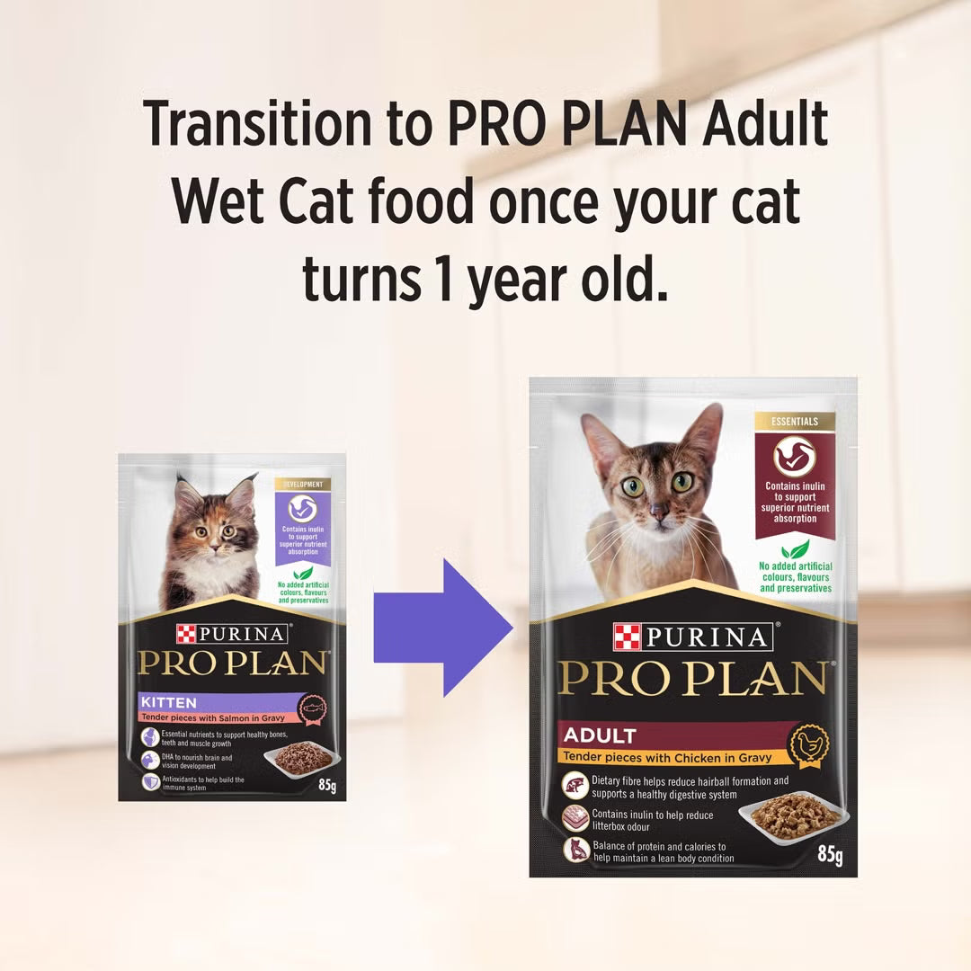 Purina Pro Plan Cat Wet Kitten (85g x 12) - Chicken / Salmon