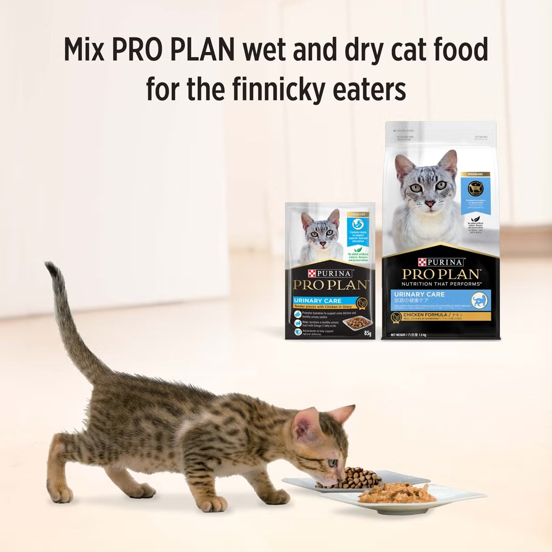 Purina Pro Plan Cat Wet Urinary Care (85g x 12) - Chicken 12x85g