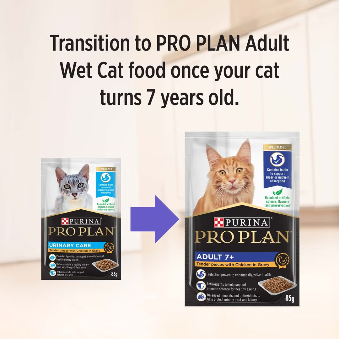 Purina Pro Plan Cat Wet Urinary Care (85g x 12) - Chicken 12x85g