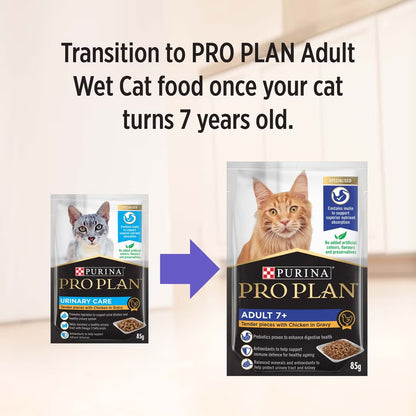 Purina Pro Plan Cat Wet Urinary Care (85g x 12) - Chicken 12x85g