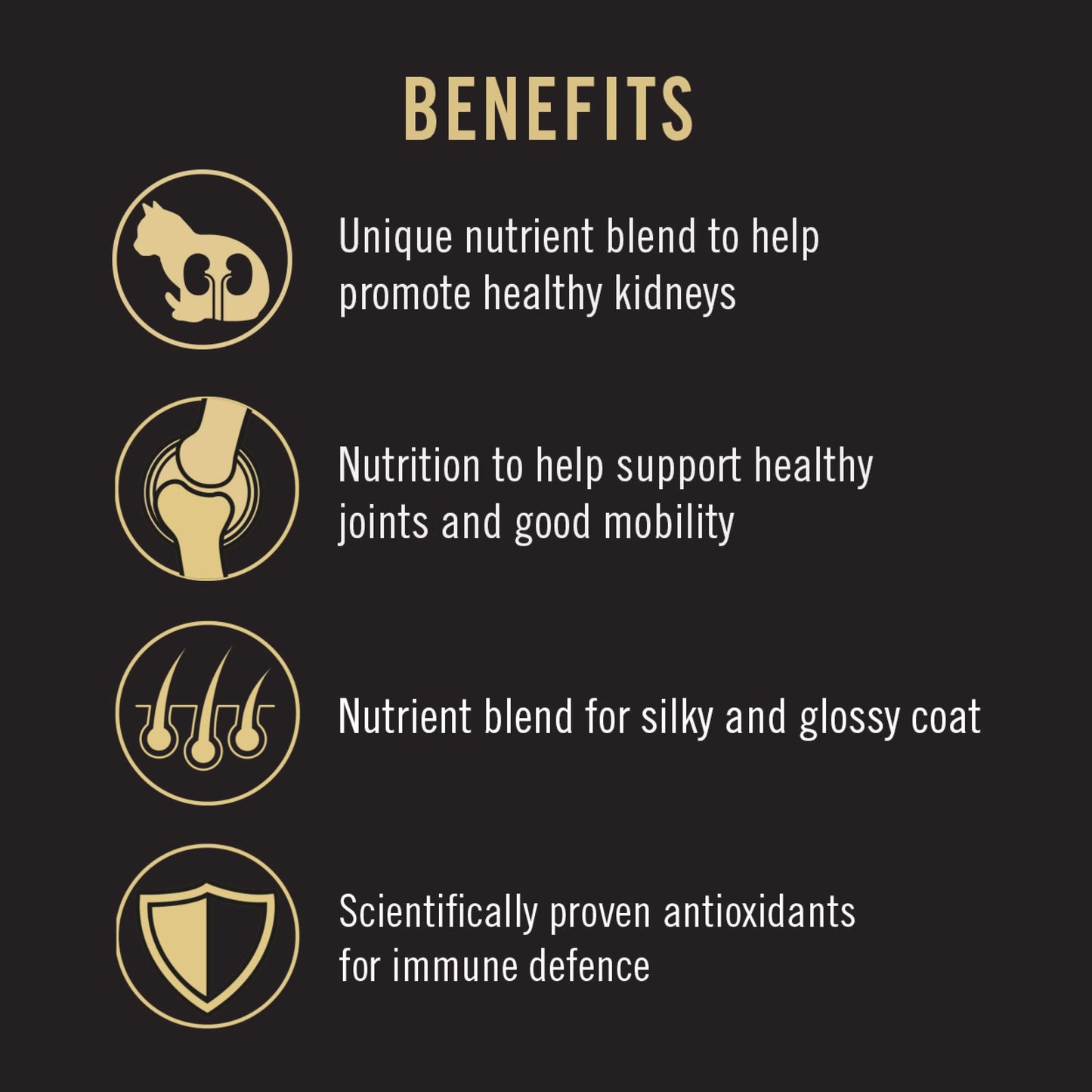 Purina Pro Plan Cat Adult - Chicken