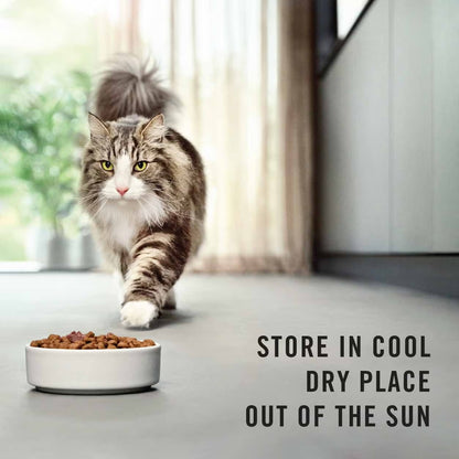 Purina Pro Plan Cat LiveClear Indoor Hairball Control - Chicken