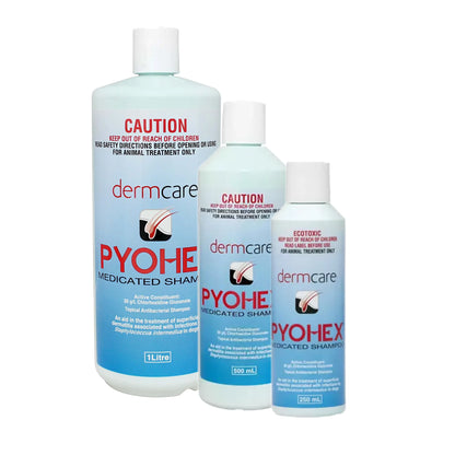 Dermcare Pyohex Medicated Shampoo for Dogs