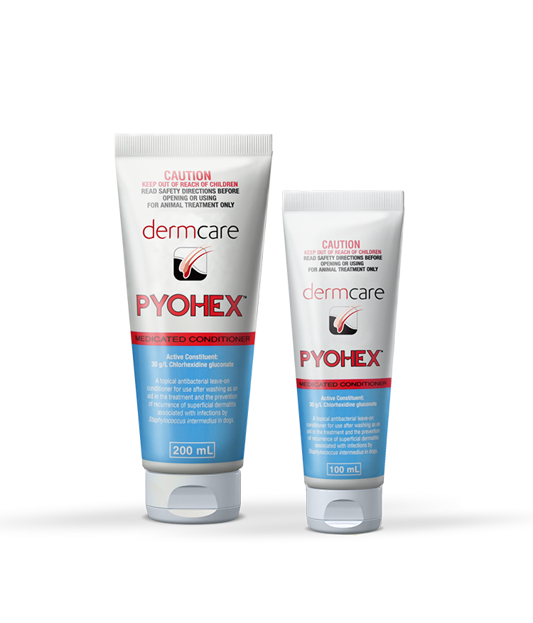 Dermcare Pyohex Conditioner – 200ml