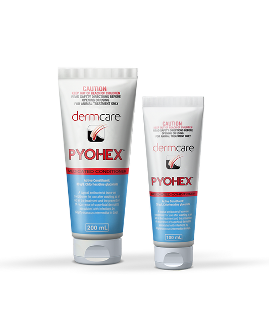 Dermcare Pyohex Conditioner – 200ml