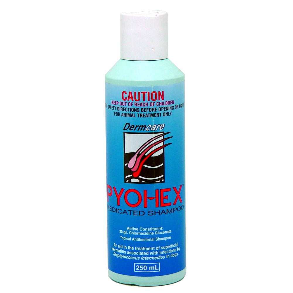 Dermcare Pyohex Medicated Shampoo 250 mL