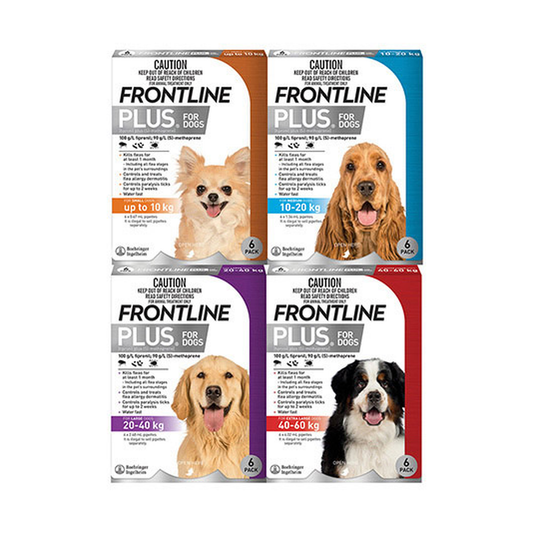 FRONTLINE Plus dog weight range; six-pipette packs shown as choices, one selected pack
