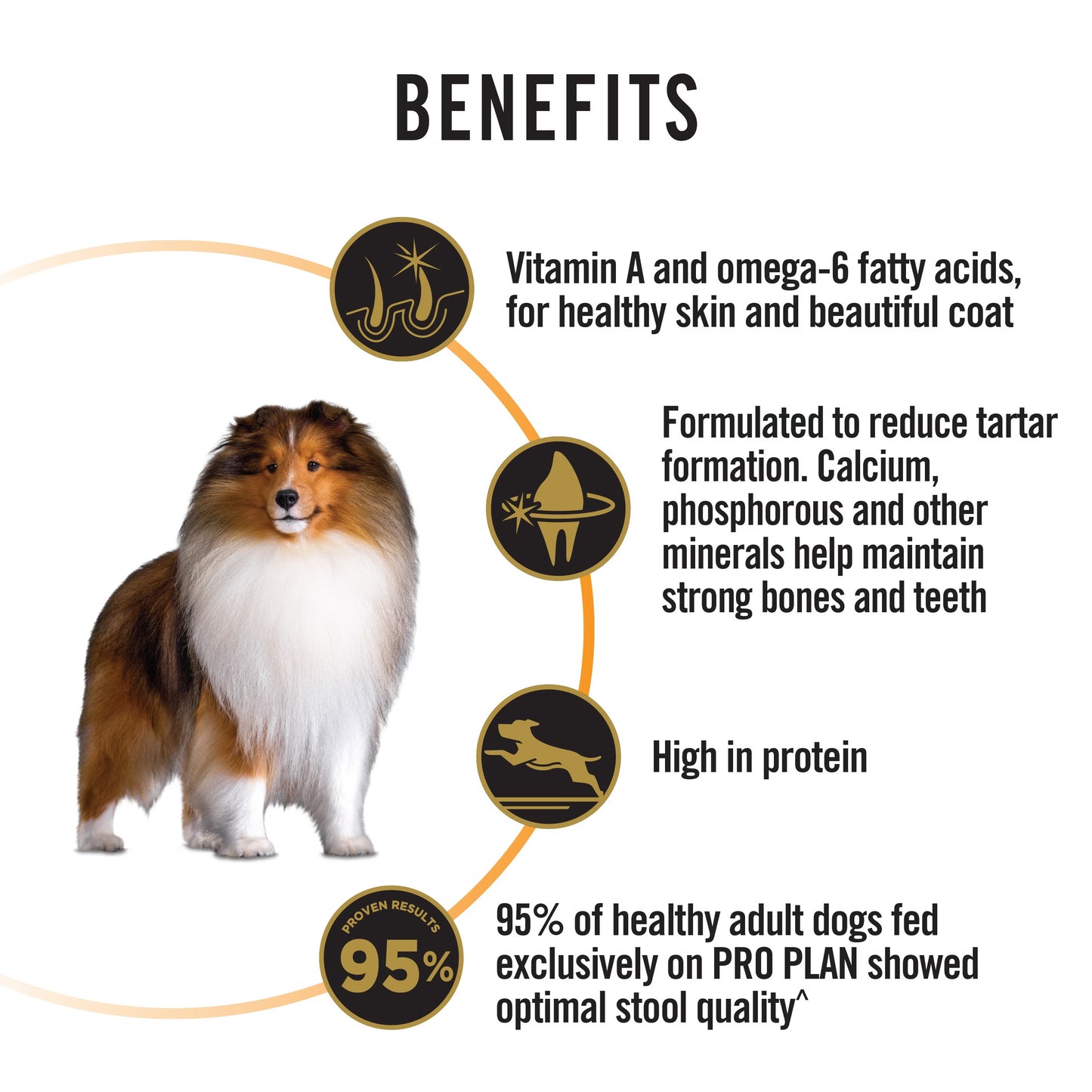 Purina Pro Plan Dog Adult Medium - Chicken