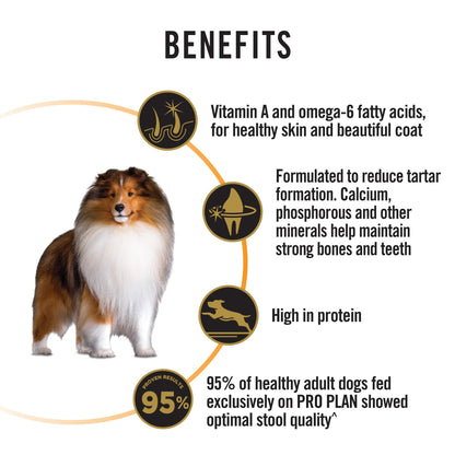 Purina Pro Plan Dog Adult Medium - Chicken