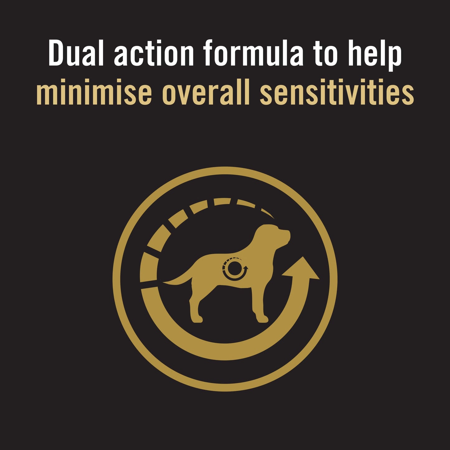 Purina Pro Plan Dog Adult Medium & Large Sensitive Skin & Stomach