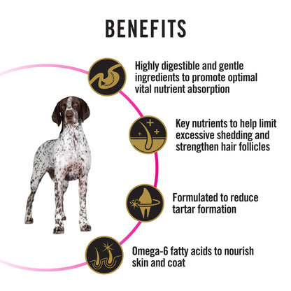 Purina Pro Plan Dog Adult Medium & Large Sensitive Skin & Stomach