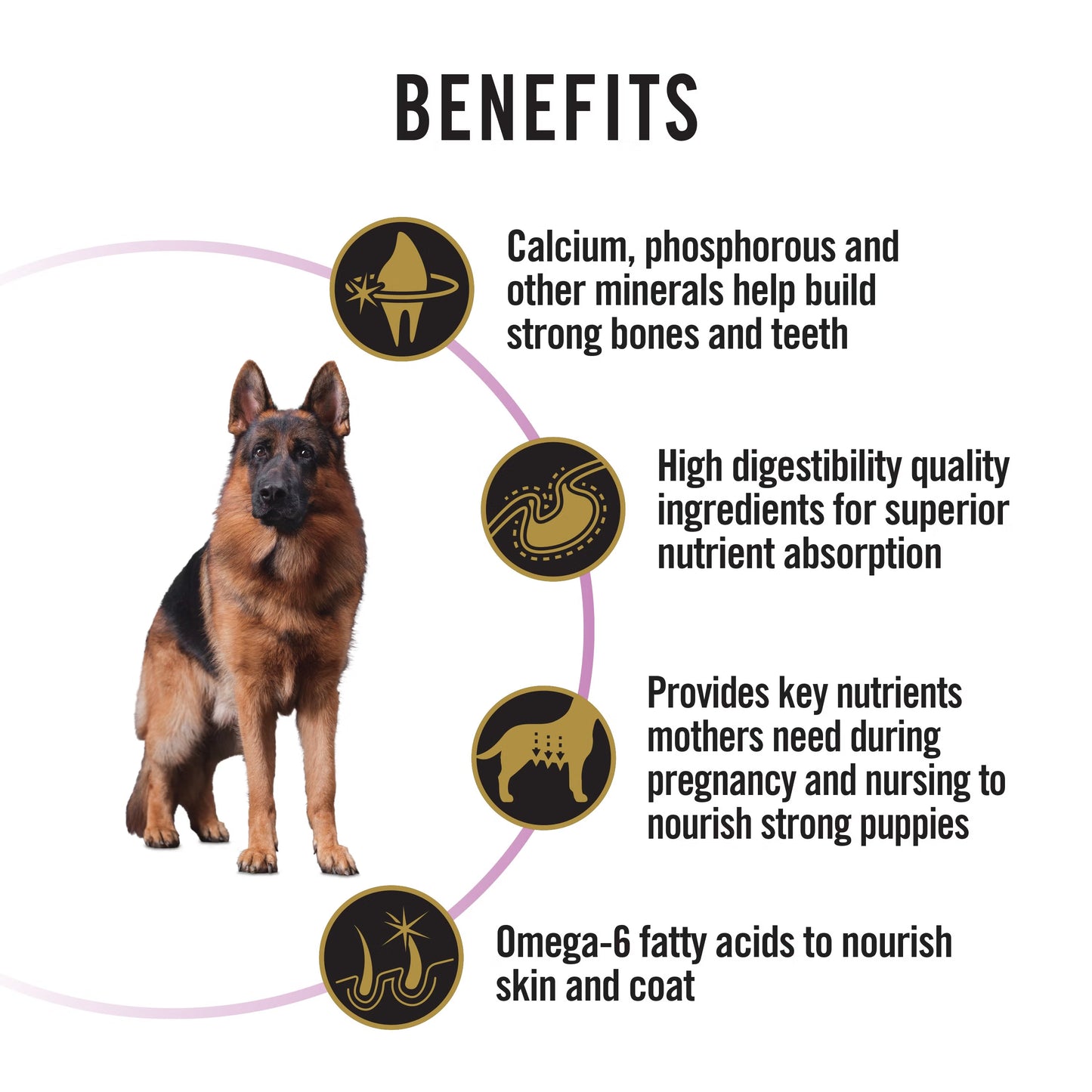 Purina Pro Plan Dog Performance - All Life Stages