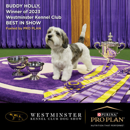 Purina Pro Plan Dog Adult Small & Toy - Chicken