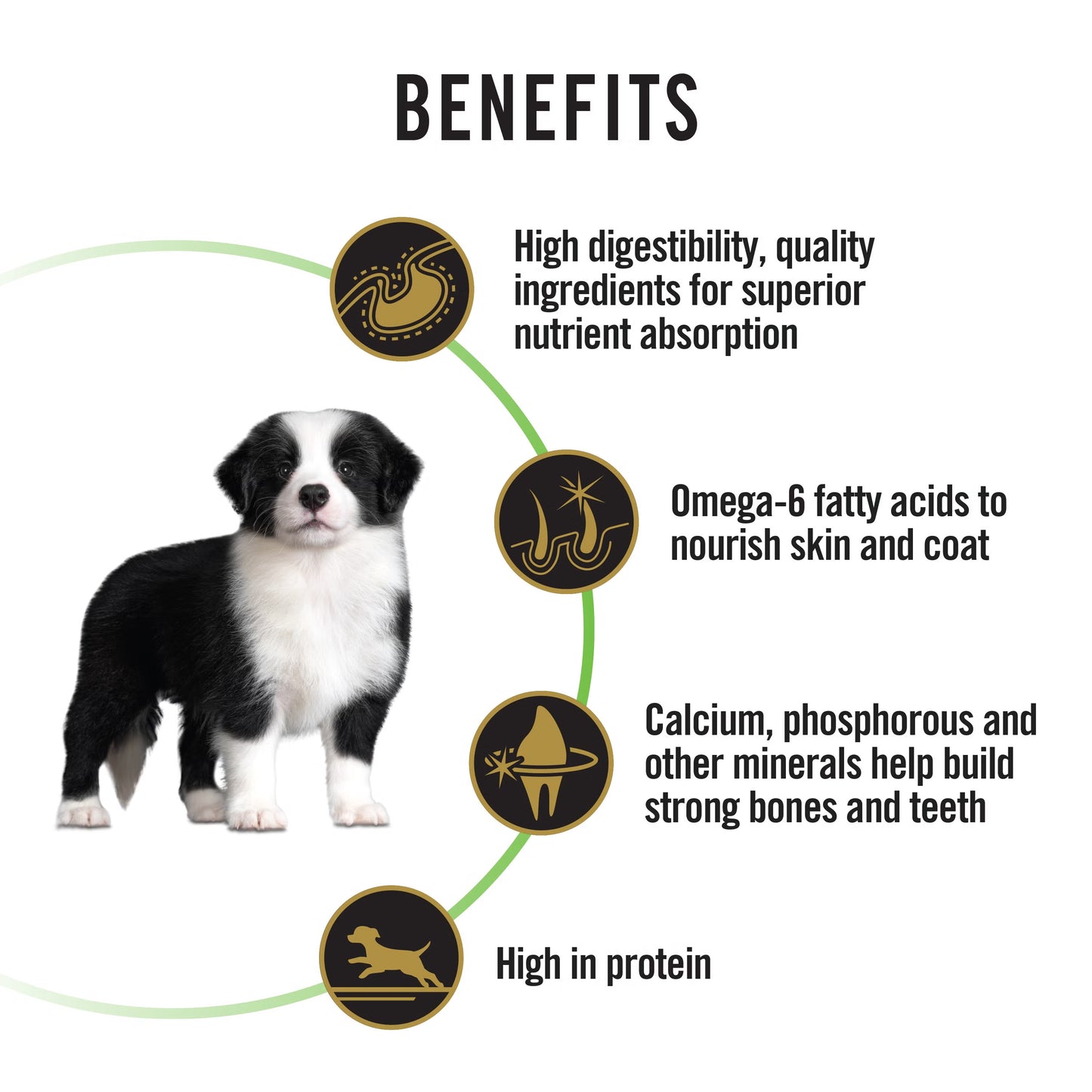 Purina Pro Plan Dog Puppy Medium - Chicken